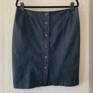 Briggs New York Skirt